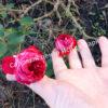 Роза Гранатовый Браслет (Garnet Bracelet) 10