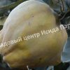 Айва Берецкая 1