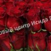 Роза Фридум Сиера 1