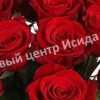 Роза Фридум Сиера 3
