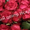 Роза Лола Паола 1