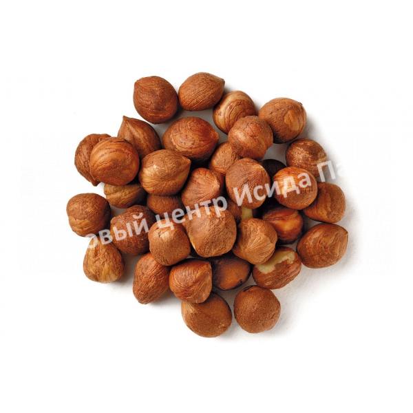 Лещина обыкновенная Пендула на штамбе (Pendula) Лещина обыкновенная Пендула на штамбе (Pendula)