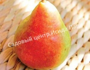 Груша Харроу свит