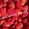 Малина Сенатор 1