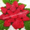 Малина Столешник 2