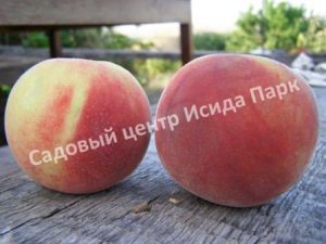 Персик Джаминат