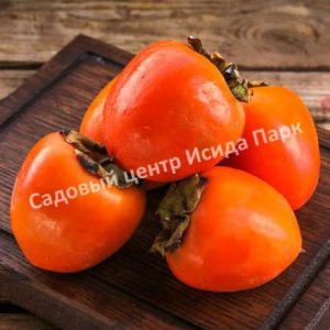 Хурма Бычье сердце (Bull’s heart)