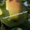 Яблоня Исеть белая 4