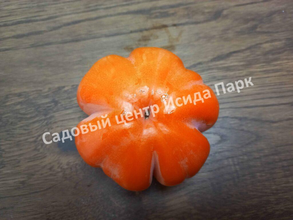 Хурма Ромашка инжирная (Chamomile)