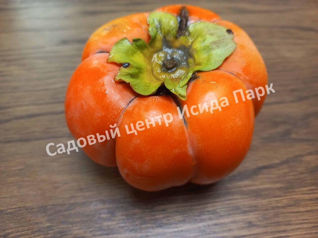 Хурма Ромашка инжирная (Chamomile)