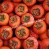 Хурма Медовая Мандариновая (Honey Tangerine) 6