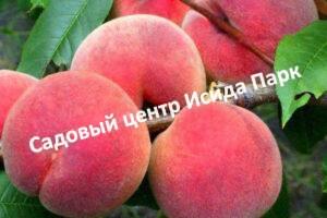Персик Глория
