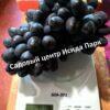 Виноград Ромбик 4