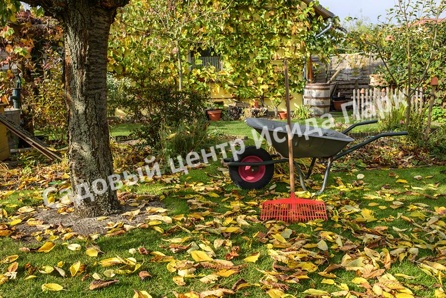 Топ-6 вещей, которые надо сделать в саду в сентябре