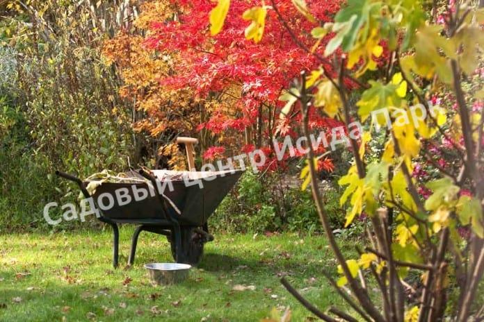 осень в саду