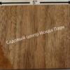Альбиция Серповидная (Albizia falcataria moluccana) 19
