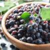 Ирга (Коринка) ольхолистная Дружная (Amelanchier alnifolia Druzhnaya) 13