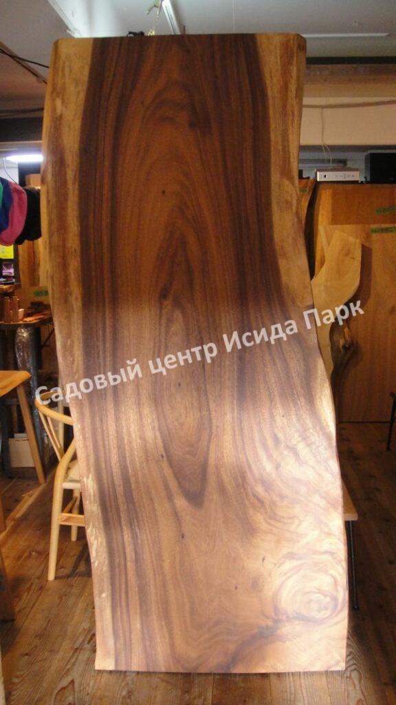 Альбиция Саман (Albizia saman)