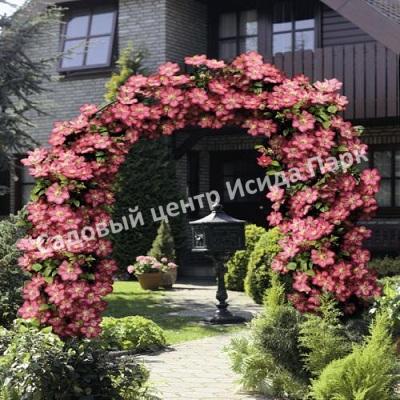 Клематис Виль де Лион (Ville de Lyon) Клематис Виль де Лион (Ville de Lyon)