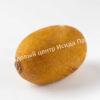 Актинидия Киви Голд (Kiwi Gold) 2