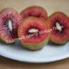 Актинидия Красный киви (Actinidia melanandra) 3