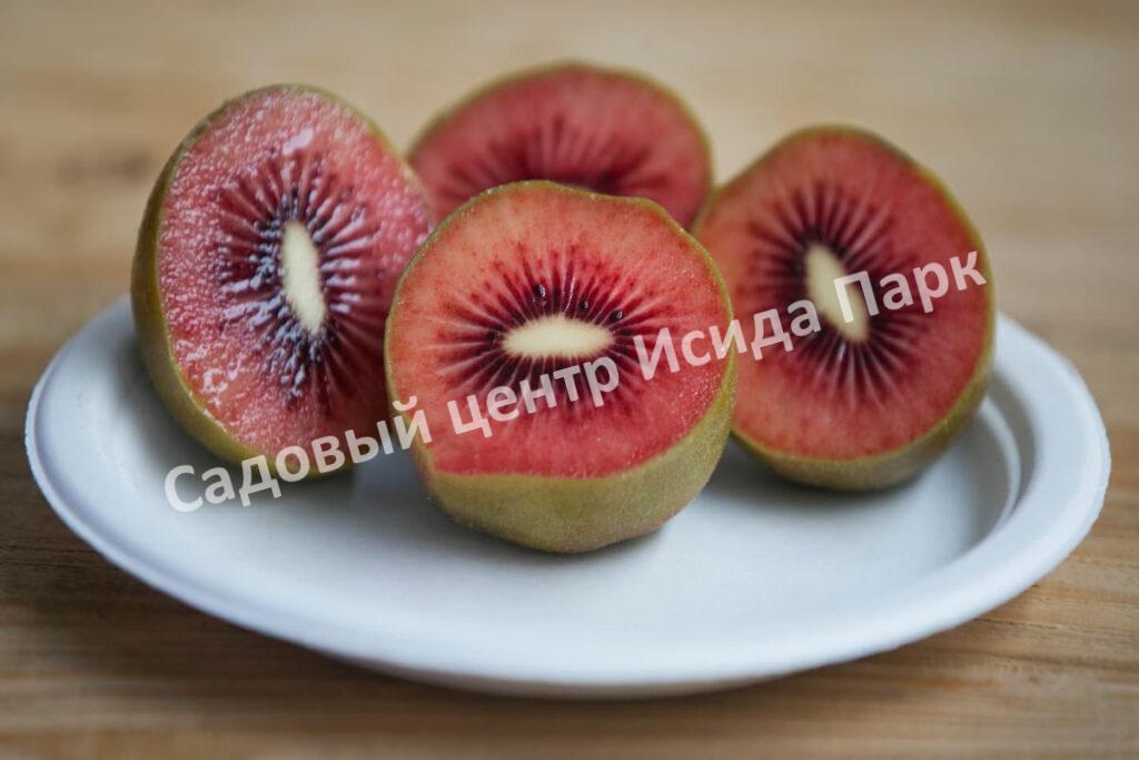 Актинидия Красный киви (Actinidia melanandra)
