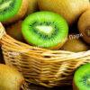 Актинидия Киви Монти (Kiwi Monty) 2