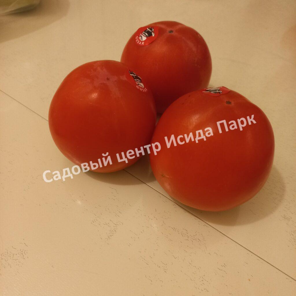 Хурма Персимон (Persimon)