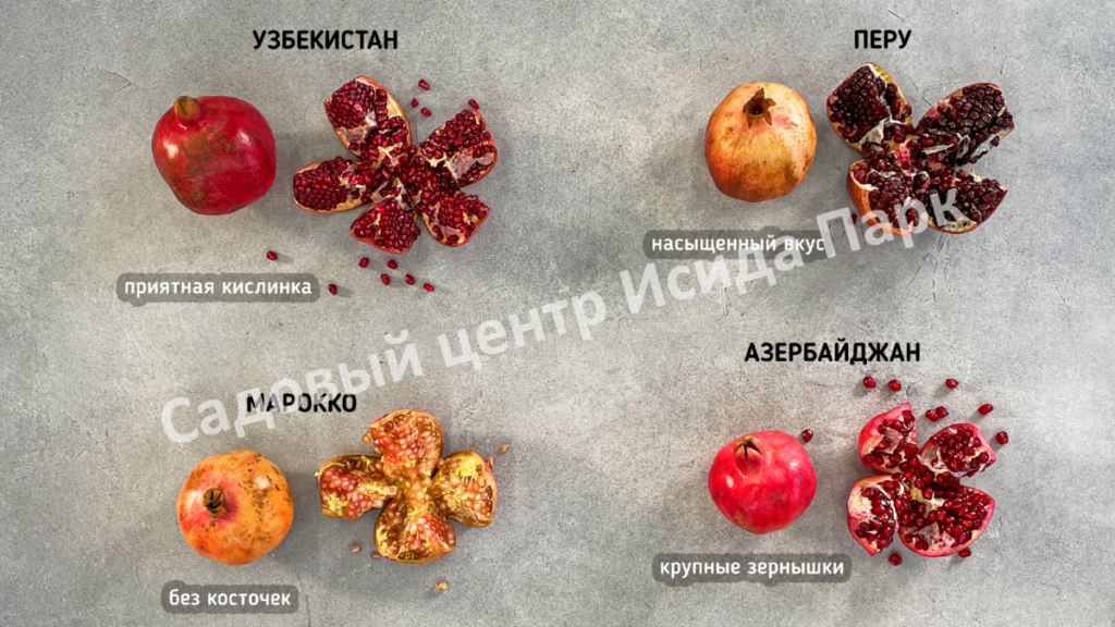 Гранат Азербайджан (Azerbaijan)